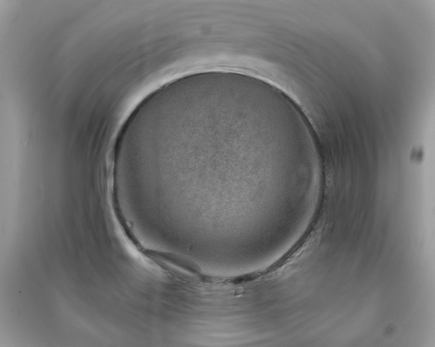 X0000091371515200708101521