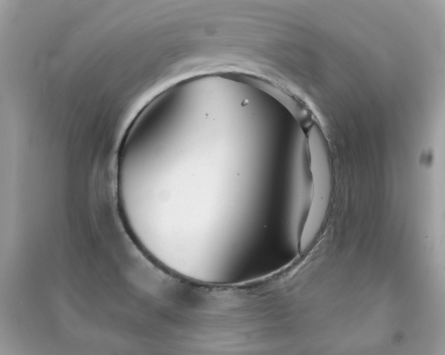 X0000091371516200708101521