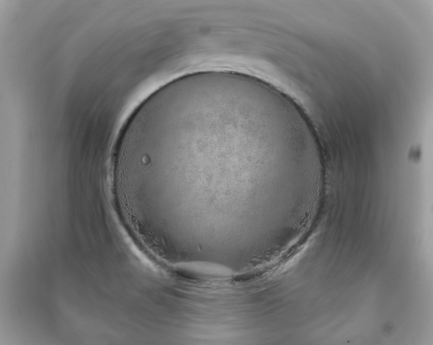 X0000091371517200708101521