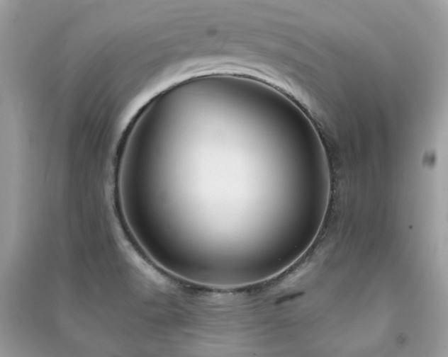 X0000091371518200708101521