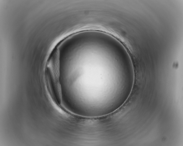 X0000091371519200708101521