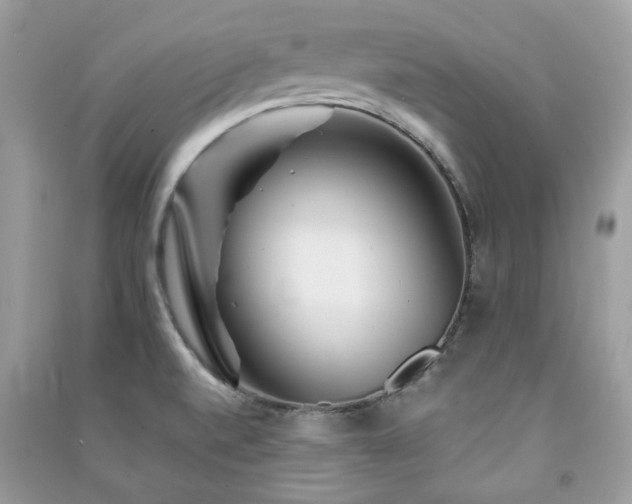 X0000091371520200708101521