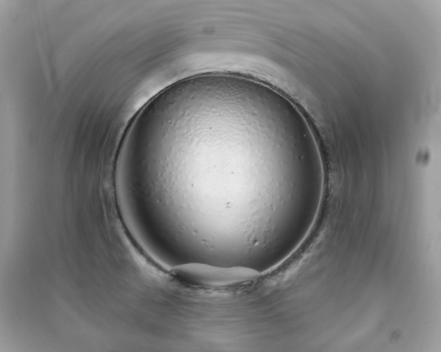 X0000091371521200708101521