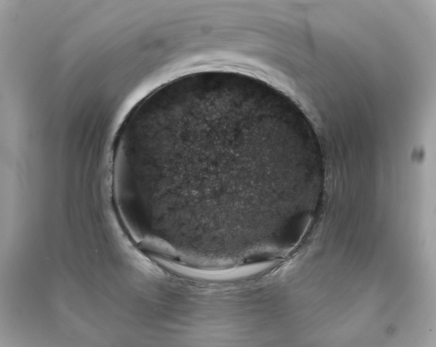 X0000091371522200708101521