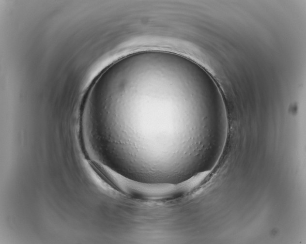X0000091371523200708101521