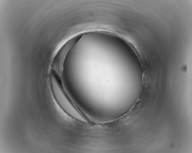 X0000091371524200708101521