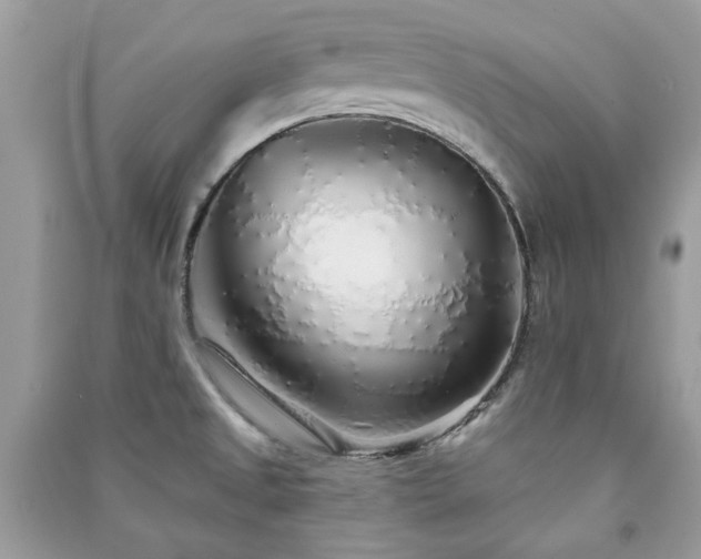 X0000091371525200708101521