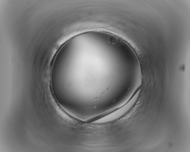 X0000091371526200708101521