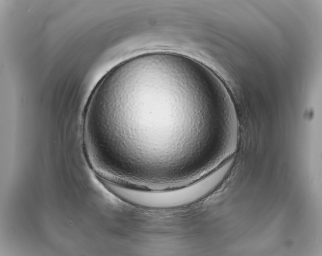 X0000091371527200708101521