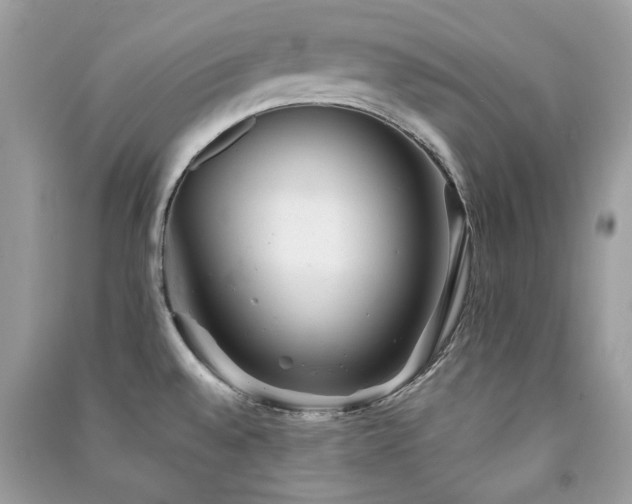 X0000091371528200708101521