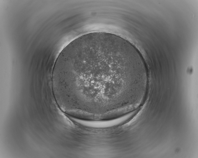 X0000091371529200708101521