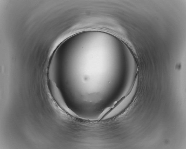 X0000091371530200708101521