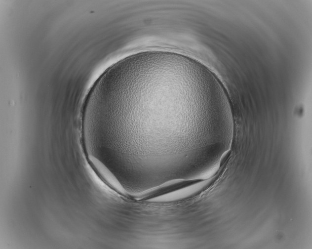 X0000091371531200708101521