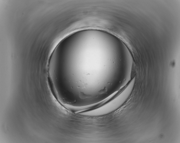 X0000091371532200708101521