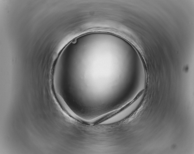 X0000091371533200708101521