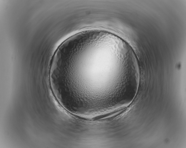 X0000091371534200708101521