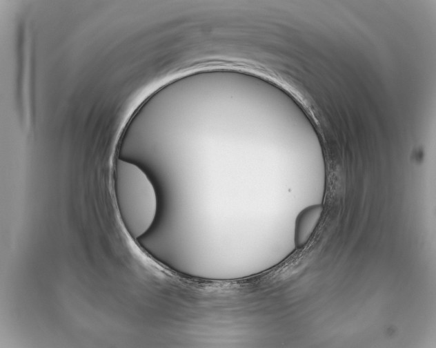 X0000091371535200708101521