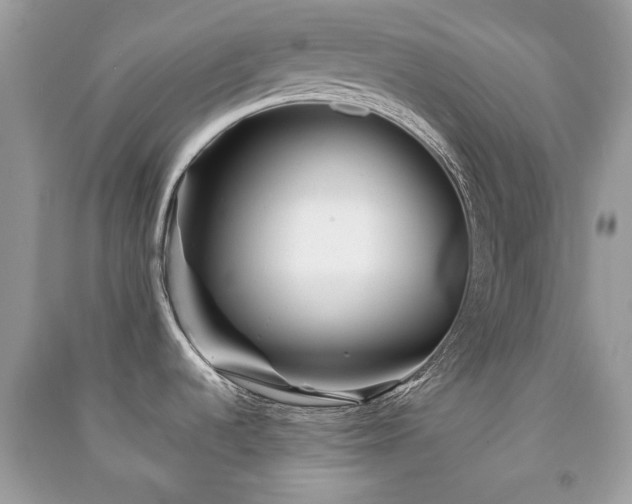 X0000091371536200708101521