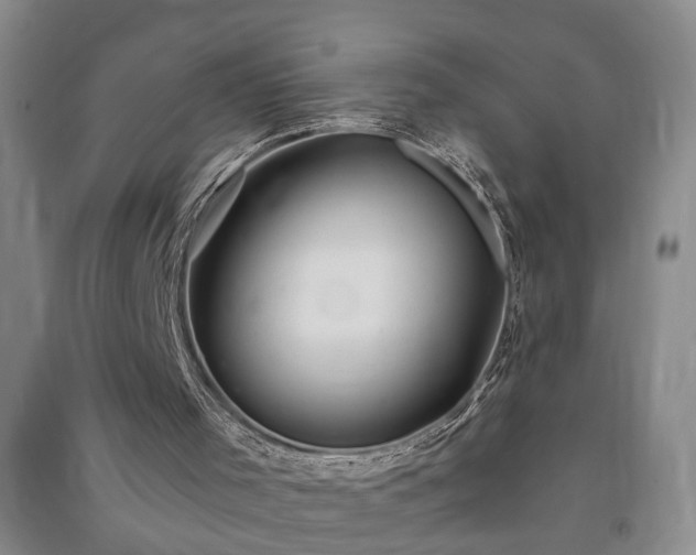 X0000091370001200708171554