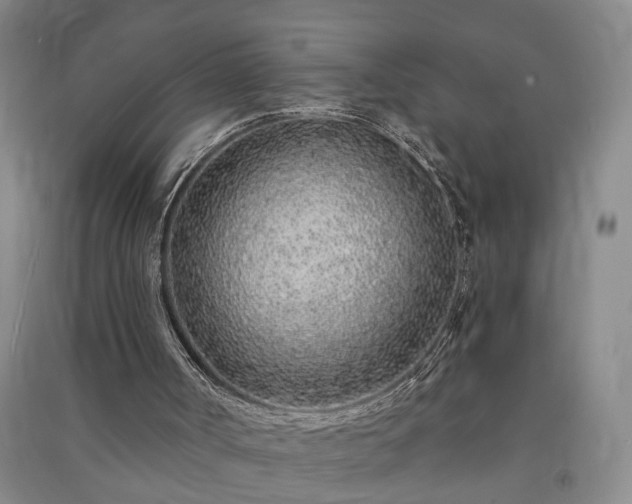 X0000091370002200708171554