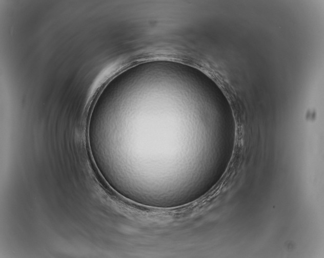 X0000091370004200708171554