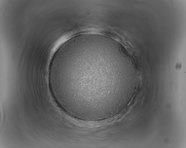 X0000091370006200708171554