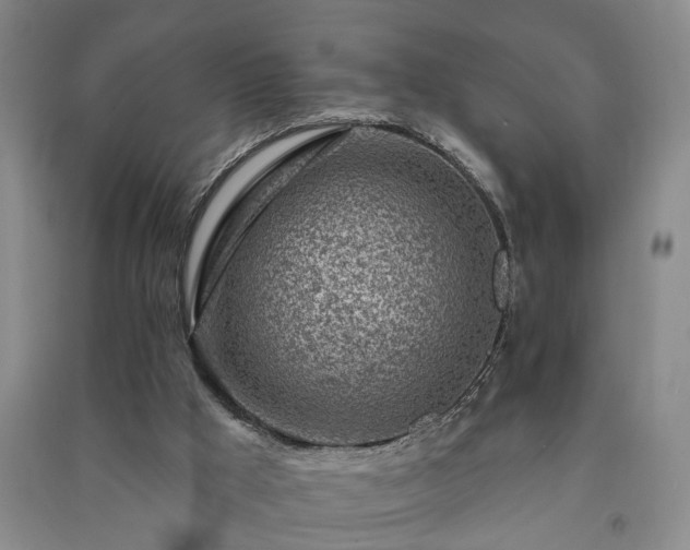 X0000091370009200708171554