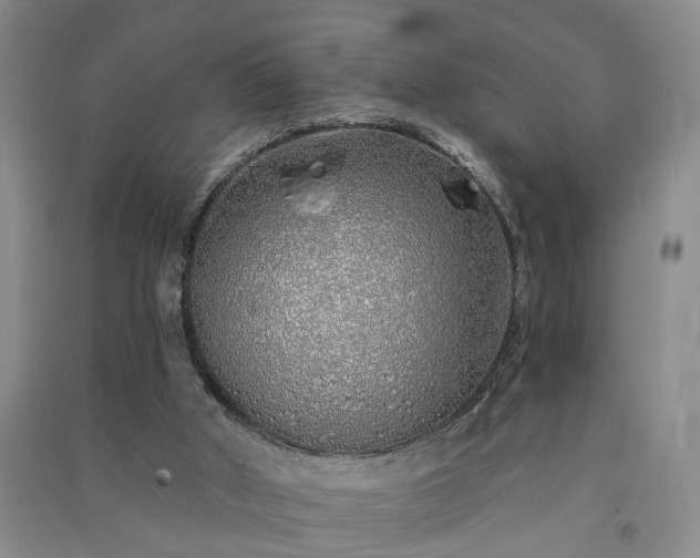 X0000091370010200708171554