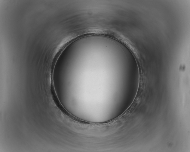 X0000091370011200708171554