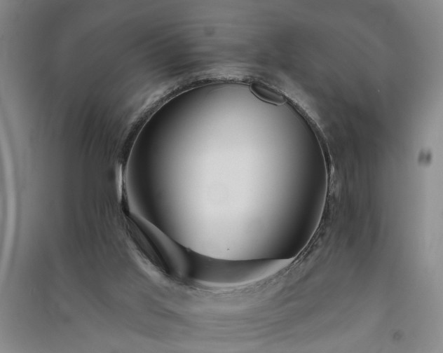 X0000091370013200708171554