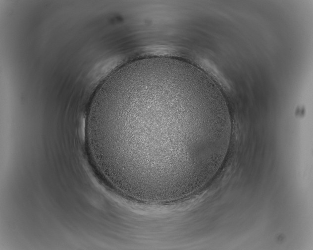 X0000091370014200708171554