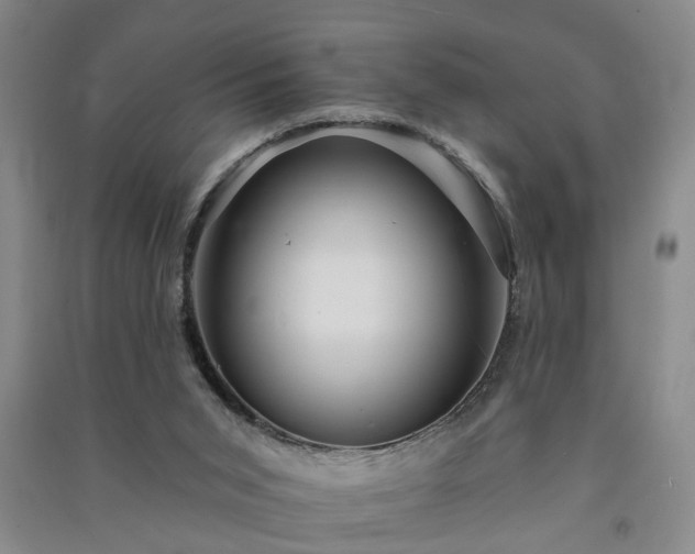 X0000091370015200708171554