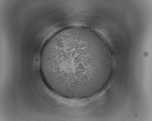 X0000091370016200708171554