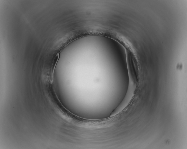 X0000091370017200708171554