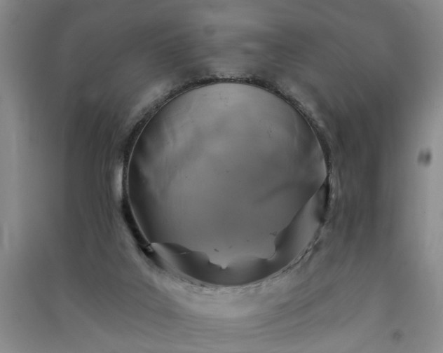 X0000091370019200708171554