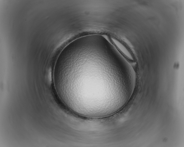 X0000091370020200708171554