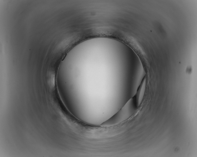 X0000091370021200708171554