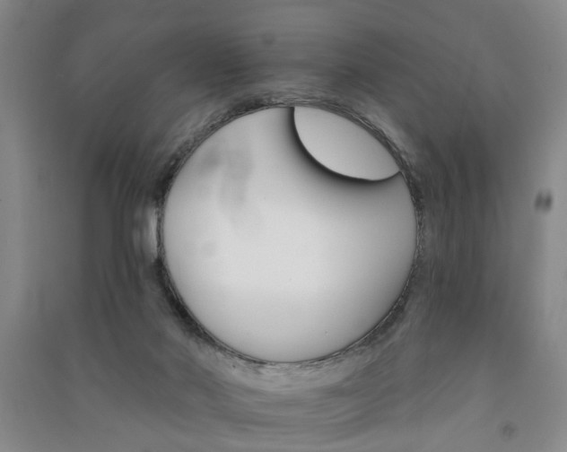 X0000091370022200708171554