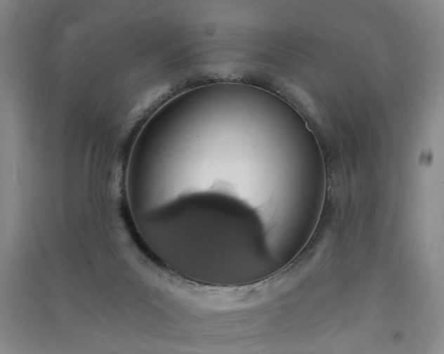 X0000091370023200708171554