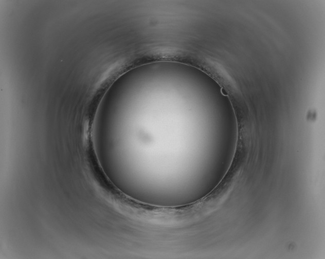 X0000091370024200708171554