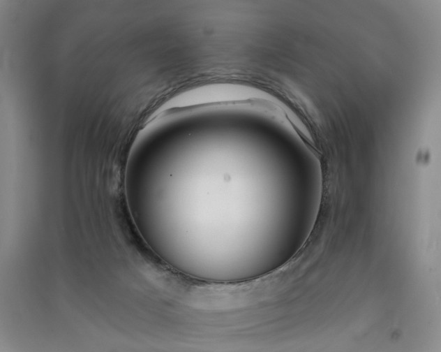 X0000091370025200708171554