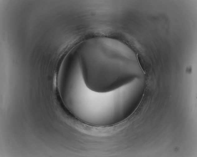 X0000091370027200708171554