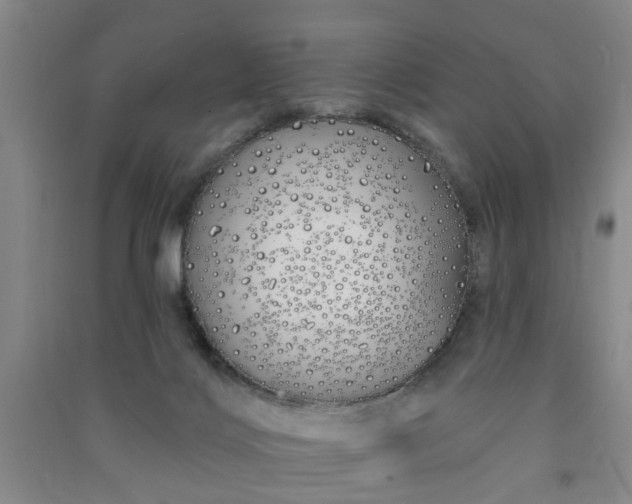 X0000091370028200708171554