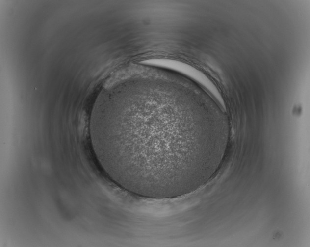 X0000091370029200708171554