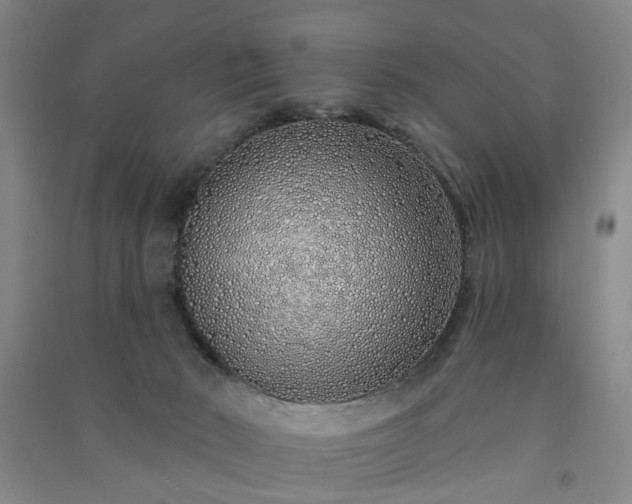 X0000091370030200708171554