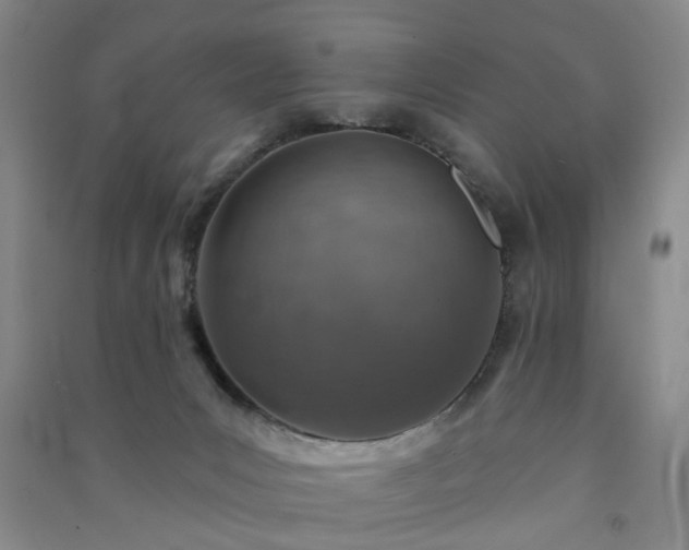 X0000091370031200708171554