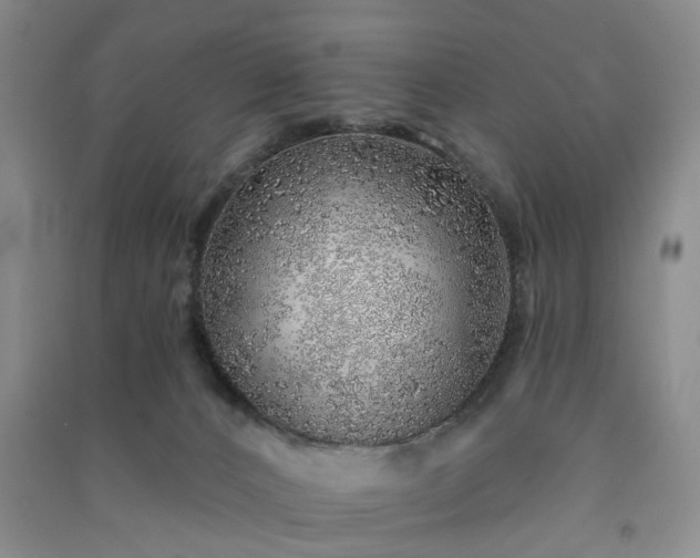 X0000091370032200708171554