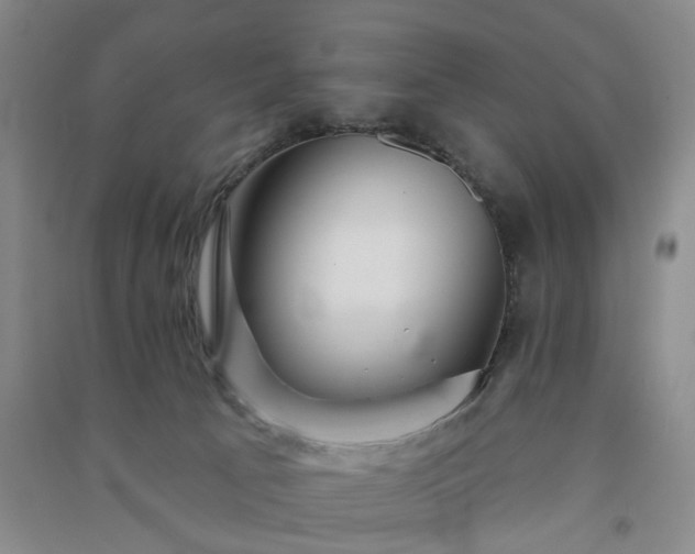 X0000091370033200708171554