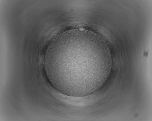 X0000091370034200708171554