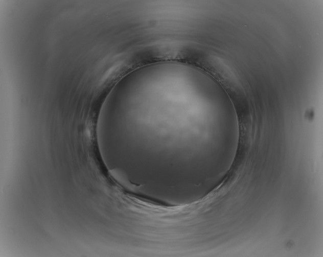 X0000091370035200708171554